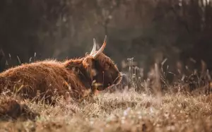 Jak Dlouho Trvá Výpovědní Lhůta