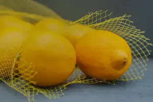 Kyselina Močová Dieta Recepty